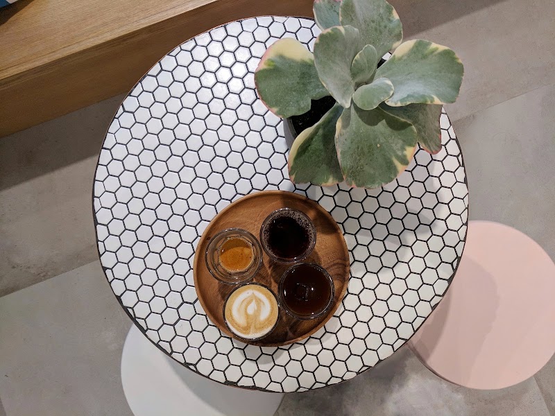 Bird & Branch Coffee Roasters
